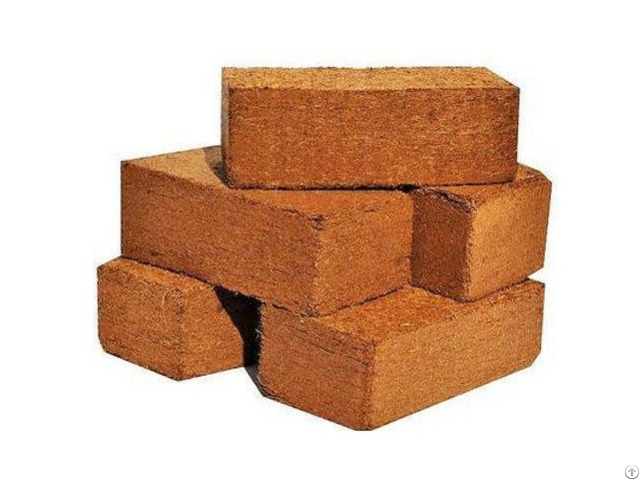 Coir Pith Blocks From Indonesia