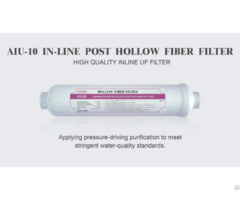 In Line Post Hollow Fiber Filter Aiu 10