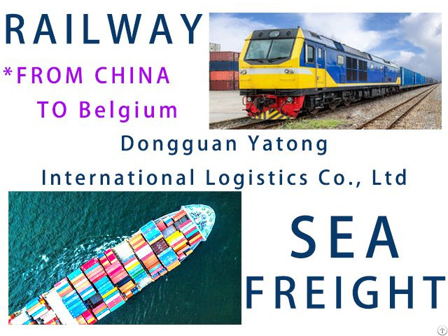 Freight Forwarder Container Consolidation Sea Transportation And Railway From China To Belgium