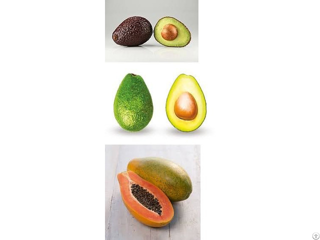 Avocado And Papaya