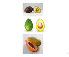 Fresh Avocado And Papaya