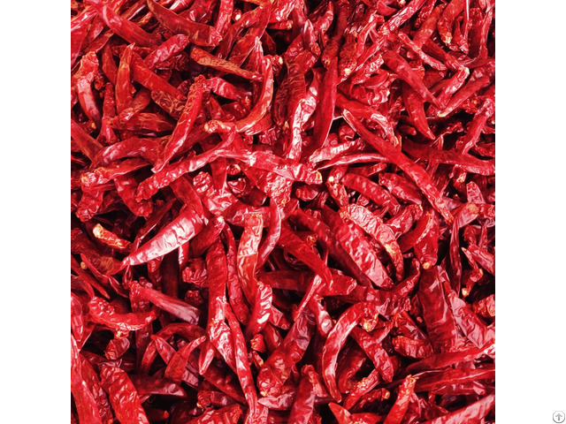 Red Chilli