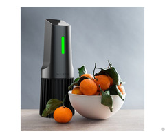 Food Cleaner Purifier Milerd Detoxer