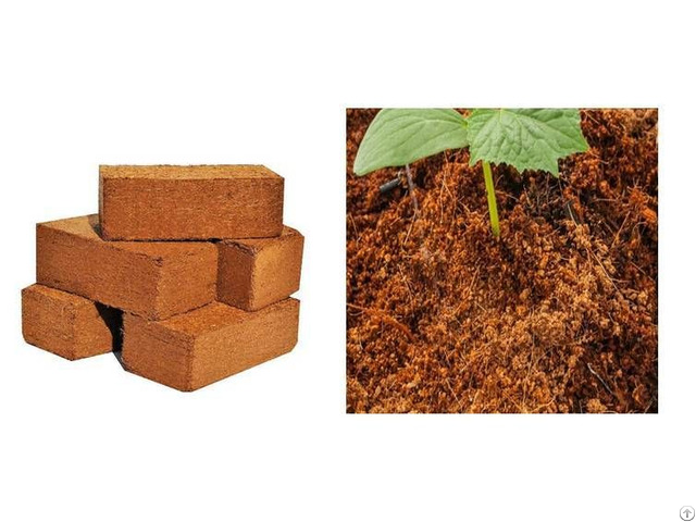 Coir Pith Products