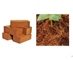 Coir Pith Products