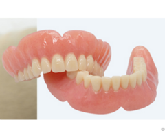 Denture Export Supplier