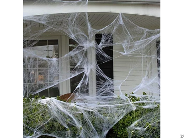 Horrible Halloween Spider Web