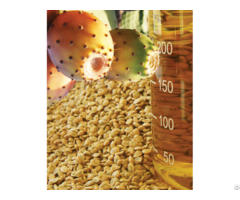 Prickly Pear Seed Oil Producers In Bulk