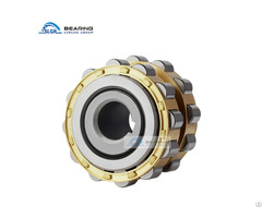 Eccentric Bearing