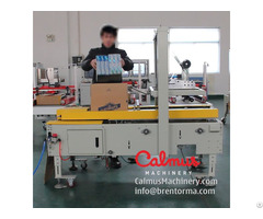 Carton Forming Sealing Machine Cartoning Station