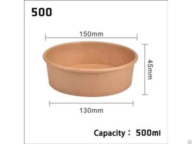 Paper Bowl