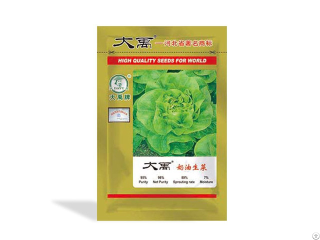 Loose Leaves Cream Lettuce