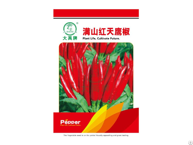 Super Large And Clustered Red Pepper