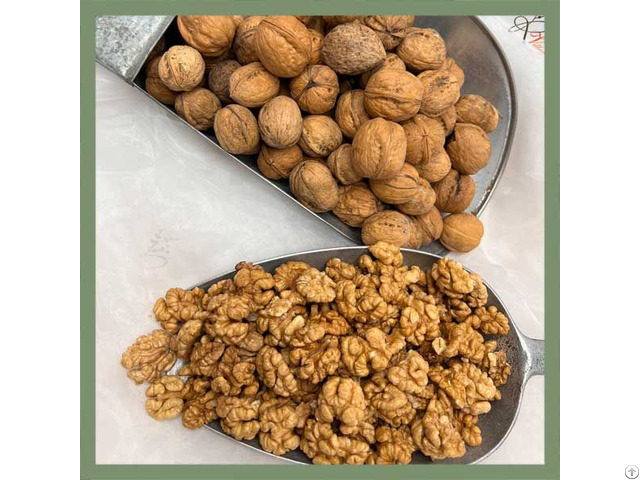 Persian Walnuts