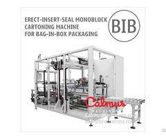 Form Insert Seal Monoblock Cartoning Machine For Bag In Box Packaging