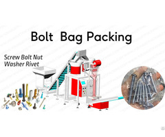 Automatic Bolt Counting And Packing Machine