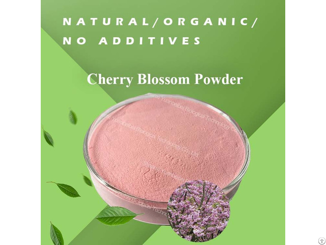 Natural Cherry Blossom Powder Sakura Flower Extract