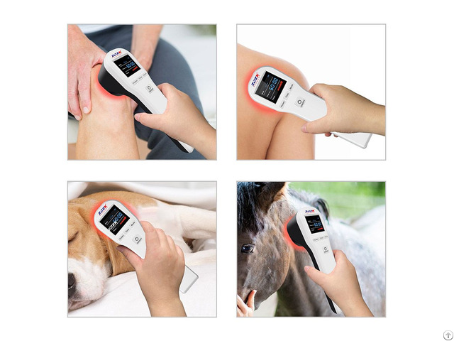 Portable Red Near Infrared Laser Therapy Device 650nm 808nm For Pain Relief And Wound Healing