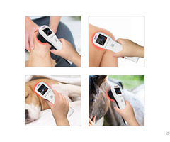 Portable Red Near Infrared Laser Therapy Device 650nm 808nm For Pain Relief And Wound Healing