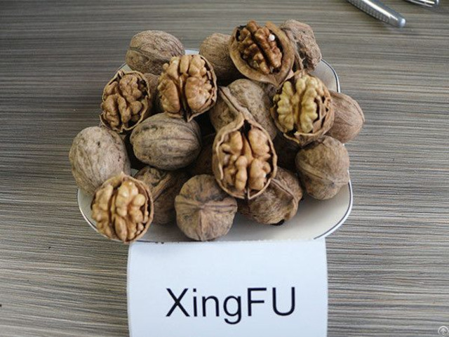 Xingfu Walnut Inshell