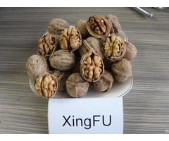 Xingfu Walnut Inshell