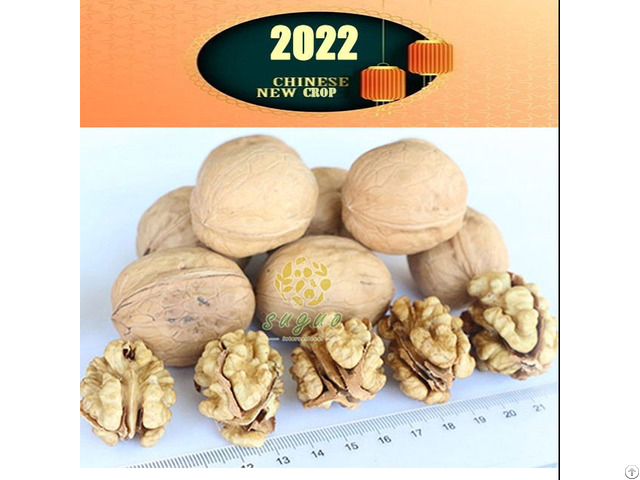 Extra Light Walnuts Kernels