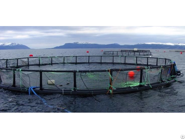 Fish Farming Cage