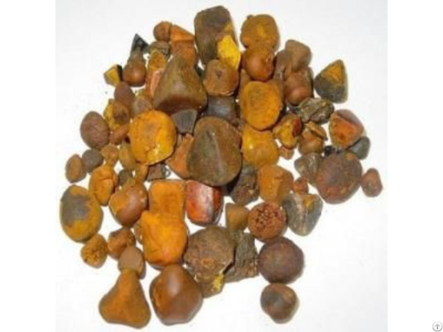 Ox Cattle Gallstones For Sale