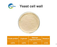 Yeast Cell Wall