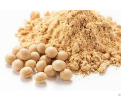 Soybean Meal