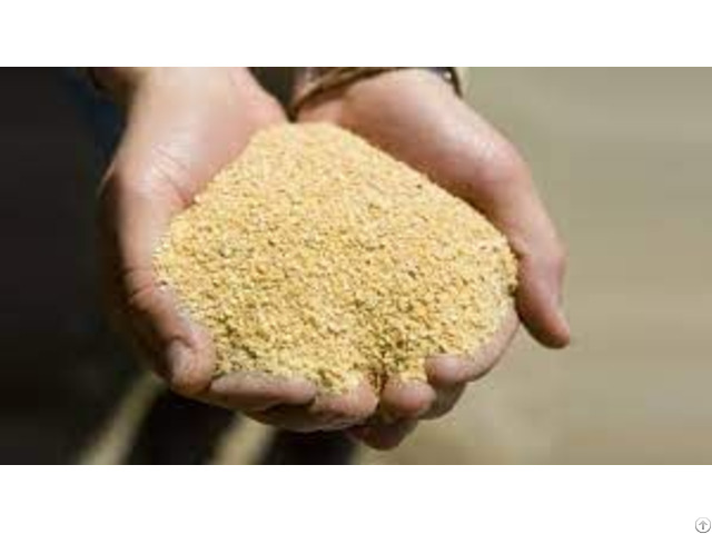 Soya Bean Meal For Animal Feed