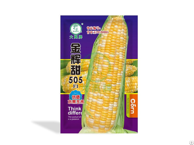 Yellow And White Double Color Super Sweet Corn