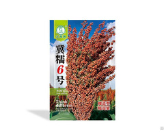 Hybrid Brew Type Sorghum Ji Waxy No 6