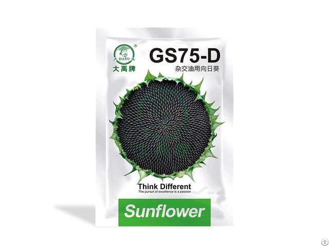 Planting Sunflower Seeds