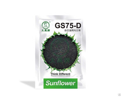 Planting Sunflower Seeds