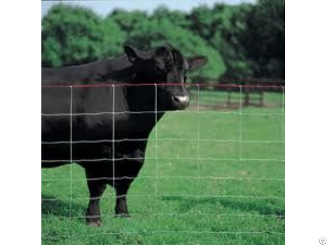 Square Deal Field Fence