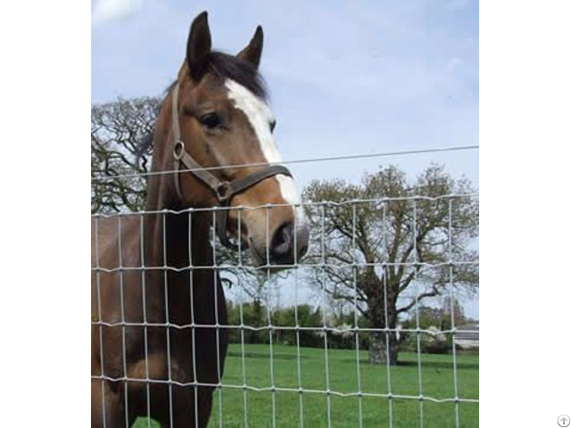 Horse Fence