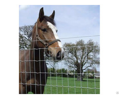 Horse Fence