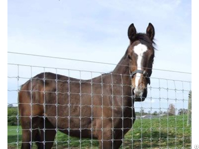 Fixed Knot Field Fence