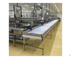 Shrimp Processing Line