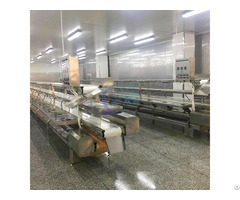 Fish Processing Line