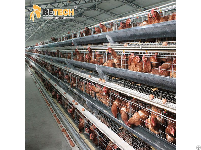 Good Price Hot Dip Galvanized Steel 3 Tiers 96 Birds Chicken Battery Cages