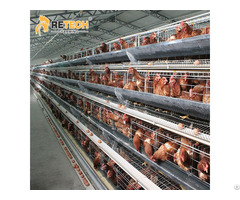 Good Price Hot Dip Galvanized Steel 3 Tiers 96 Birds Chicken Battery Cages