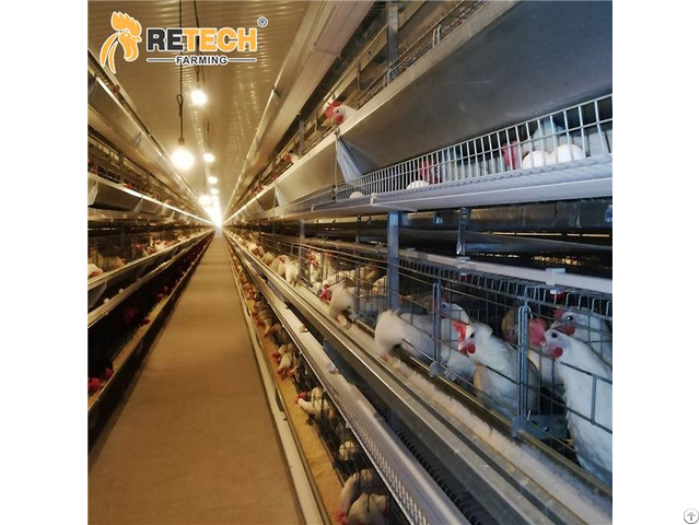 Automatic Poultry Farm Raising Equipment H Type Breeder Layer Chicken Cage