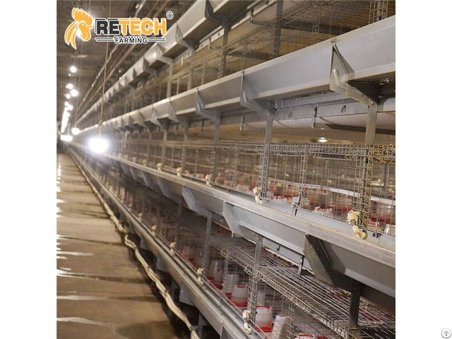 Baby Chicken Battery Cage Pullet Raising System Poultry Farm