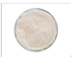 Dicalcium Phosphate
