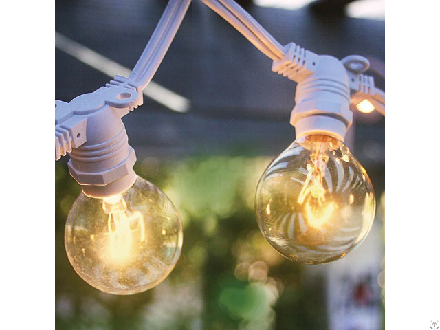 Outdoor Commercial String Light Set G40 Clear Globe Bulbs 29 Ft Black