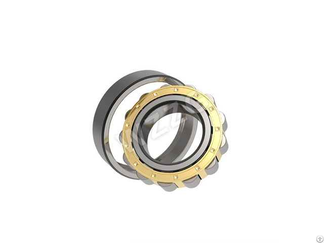 Heavy Machinery Rolling Bearing N2eries