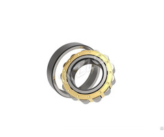 Heavy Machinery Rolling Bearing N2eries