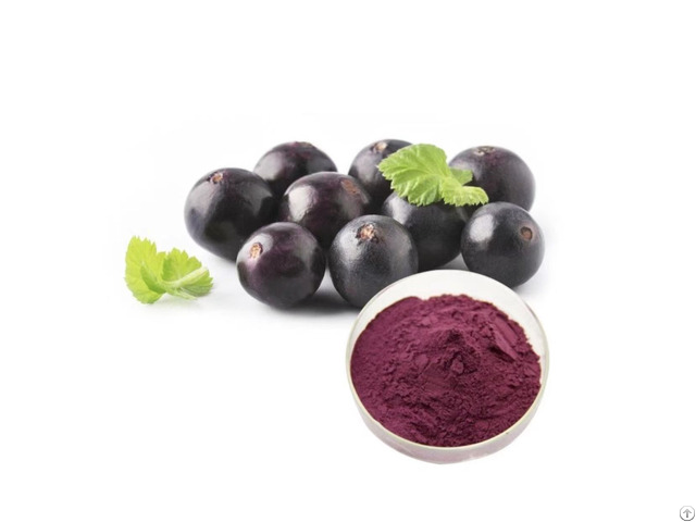 Acai Berry Fruit Powder